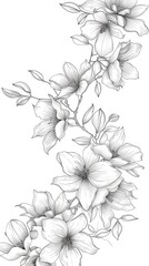A delicate, black and white drawing of a graceful outline of orchids and magnolia flowers, wallpaper, card