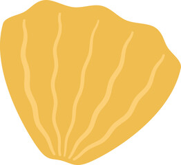 Sea Shell Illustration