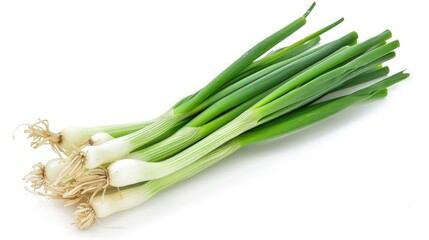Fresh green onions freshly picked from the garden on a white background with clipping path