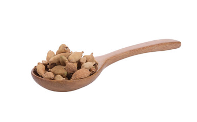 Pile of Cardamon Pods Spice in Wooden Spoon on isolated on white background