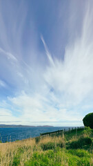 Delicate, silky cirrus clouds stretch across a blue sky, above a grass-covered ocean viewpoint.