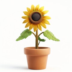 Obraz premium Sunflower on clay pot yellow Helianthus annuus blooming in bright season