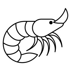 vector illustration of shrimp