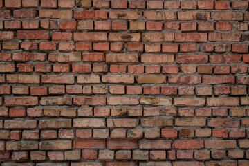 Fototapeta premium Brick Wall Surface for Wallpaper Background.