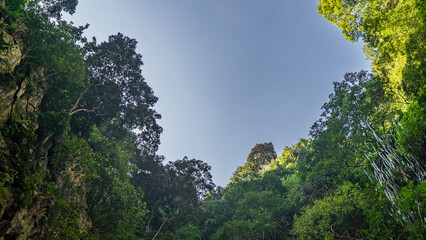 Lush tropical vegetation grows on steep cliffs. Clear blue sky framed by mountain slopes with green trees. Bottom view. Malaysia. Batu Caves Kuala Lumpur