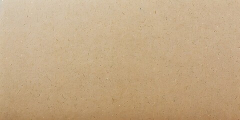 Obraz premium Light Brown Paper Texture Background