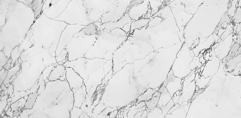 Fototapeta premium High Resolution White Marble Texture Background