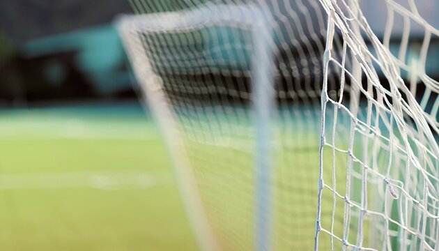 football goal net
