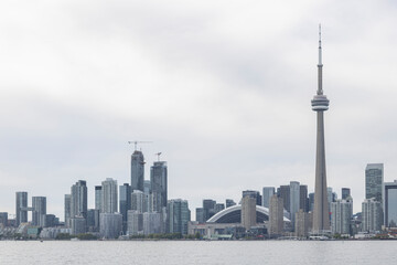 Obraz premium city skyline at night
