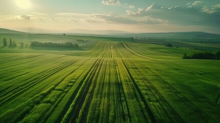 Obraz premium landscape with green fields and agricultural farm land of natural 