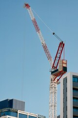 construction site with cranes