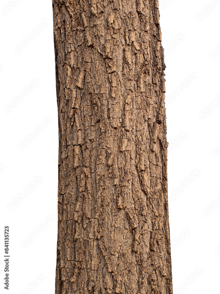Aufkleber trunk of a tree isolated on transparent background.