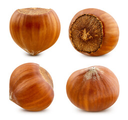 Hazelnut isolated on white background
