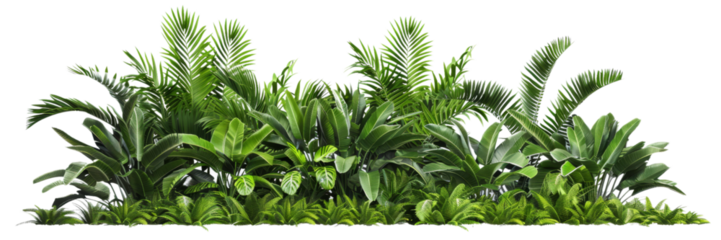Lush tropical plant border with vibrant greenery, isolated on transparent background. Ideal for nature-themed projects, invitations, and decorative designs.
