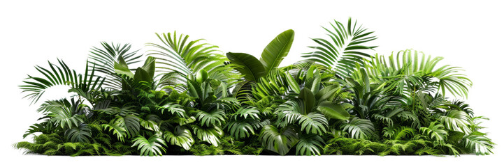 Dense tropical plant border with vibrant greenery, isolated on transparent background. Perfect for nature-themed projects, invitations, and decorative designs.