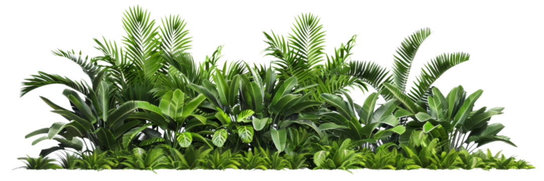 Lush tropical plant border with vibrant greenery, isolated on transparent background. Ideal for nature-themed projects, invitations, and decorative designs.