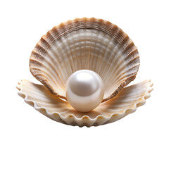 pearl and shell