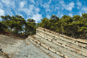 A rocky hillside with layered sedimentary rock formations, topped with dense green pine trees under a bright blue sky with scattered clouds.