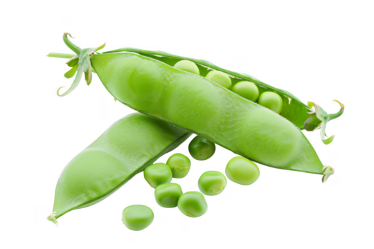 A pod of green peas with a few pea pods on the ground