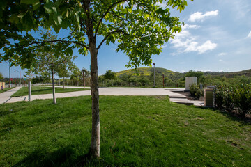 path in the park