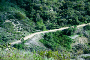 trail in the mountains
