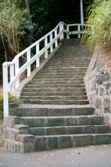 Beautiful Rural Stone Staircase Leading Up Through Lush Countryside