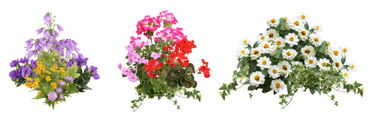 花切り抜きセット透過PNG背景白