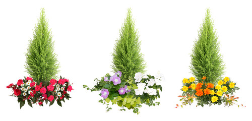 寄せ植え植物切り抜きセット透過PNG背景白