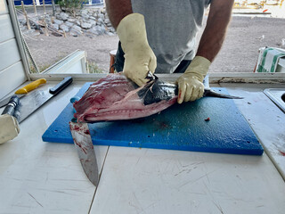A man is cleaning tuna at the fish market. Skinning the fish. Seagulls are waiting in the background