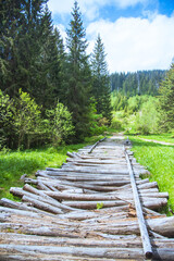 Fabulous and mysterious path in the forest. Location place of Carpathians mountain, Ukraine, Europe.