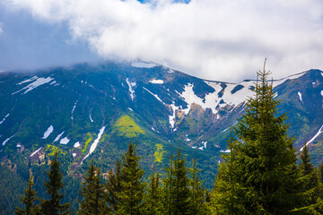 Fabulous and mysterious path in the forest. Location place of Carpathians mountain, Ukraine, Europe.
