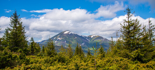 Fabulous and mysterious path in the forest. Location place of Carpathians mountain, Ukraine, Europe.