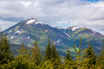 Fabulous and mysterious path in the forest. Location place of Carpathians mountain, Ukraine, Europe.