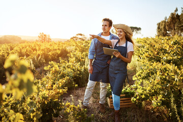 Agriculture, pointing and tablet with couple on farm together for growth, harvest or sustainability. Agro, love or smile with man and woman outdoor in field for vegetables, ecology or inspection