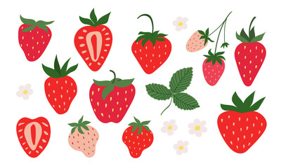 Hand drawn set of strawberries. Berries, flowers and leaves of strawberries.