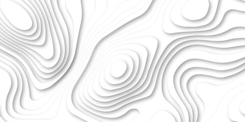 Abstract white color papercut realistic decoration background design. modern white 3d luxury papercut wave line pattern background. geometry wallpaper, banner, poster vector illustration .