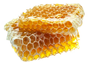 A close up of honeycomb with honey on top