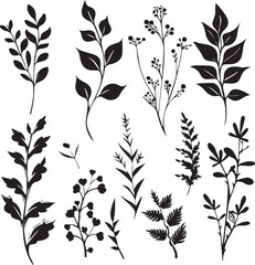 set of black silhouettes of leaves and flowers