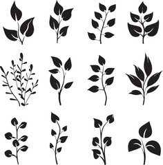 set of black silhouettes of leaves and flowers