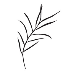 Fototapeta premium Greenery