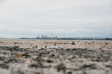 Auckland Skyline Behind Mudflats