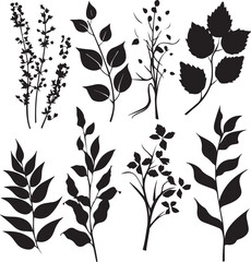 set of black silhouettes of leaves and flowers