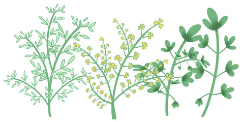 Trees background illustration