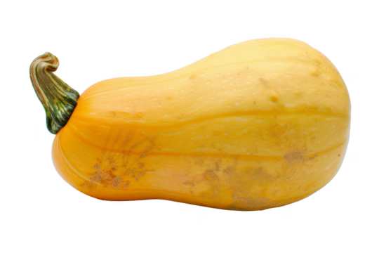 A large yellow squash with a green stem