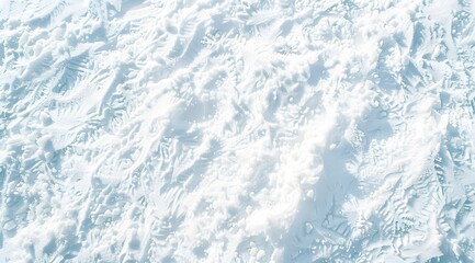 Intricate Patterns in Fresh Snow - Winter Texture