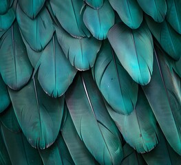 Teal Feather Texture: Abstract Bird Pattern