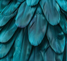 Teal Feather Pattern - Abstract Nature Photography