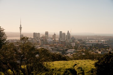 Auckland Skyline Panorama: Stunning View of Cityscape from Mount Eden