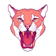 puma head open mouth looking ahead agressive