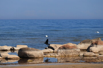 Fototapeta premium fisherman on the beach